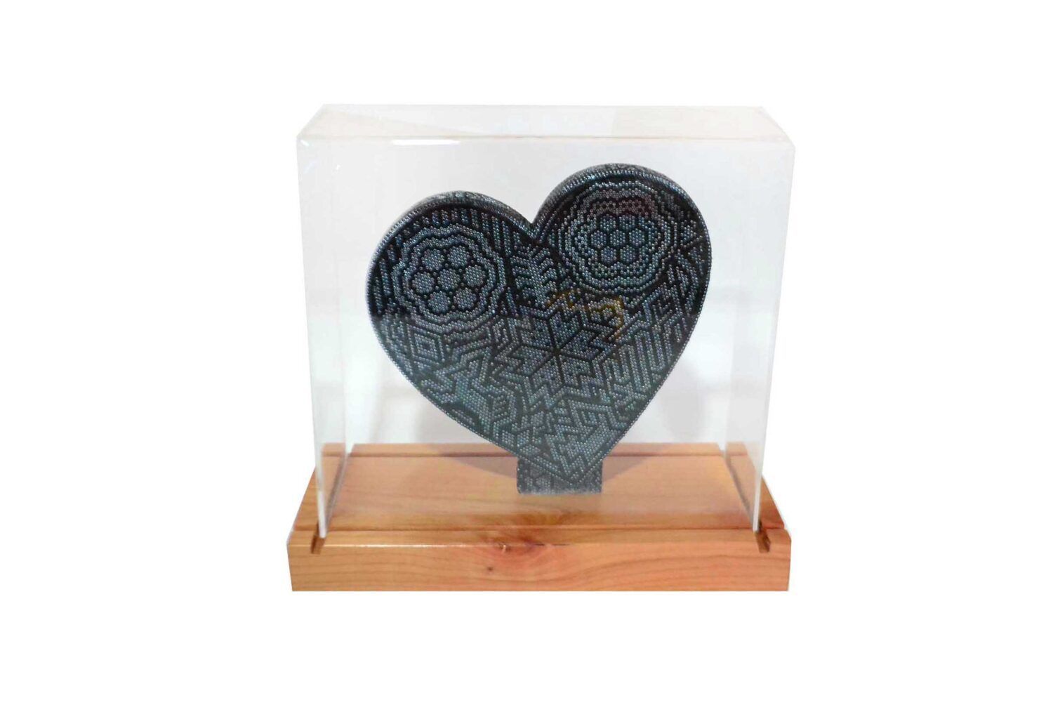 Corazon para reconocimientos de la Kia